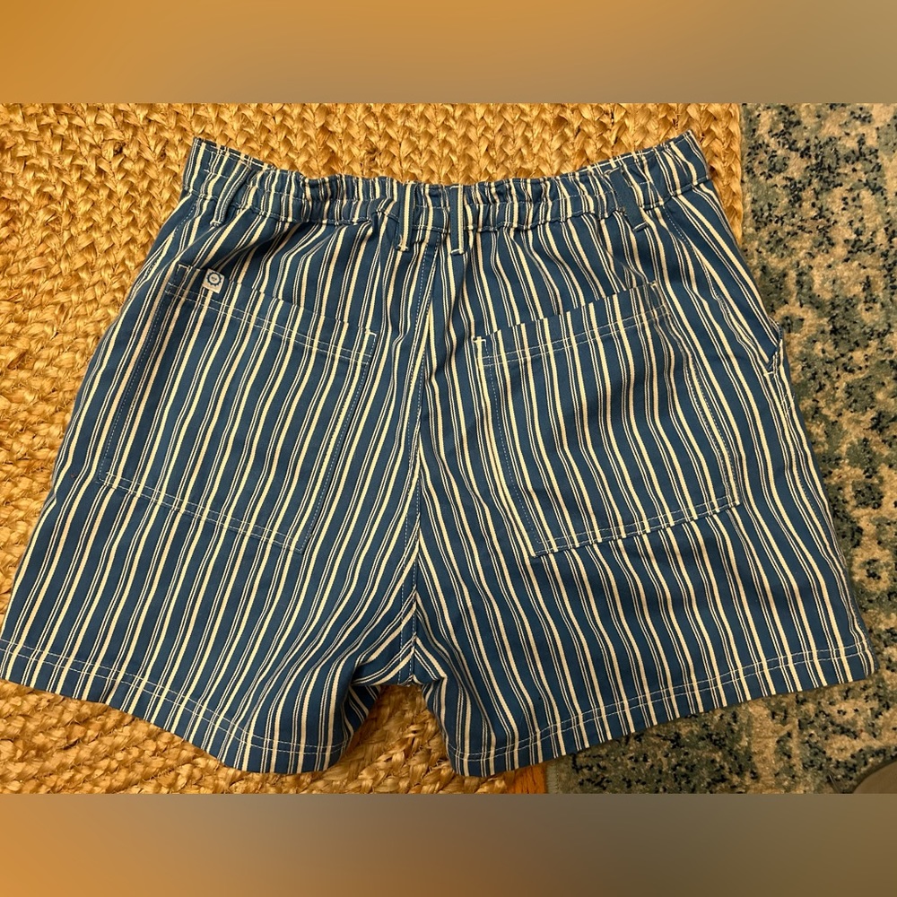 Big Bud Press brand new size L blue striped work shorts
